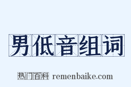 男低音组词是什么意思的图片